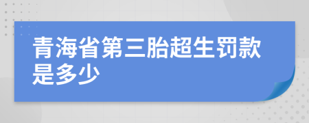 青海省第三胎超生罚款是多少