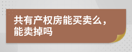 共有产权房能买卖么，能卖掉吗