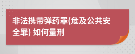 非法携带弹药罪(危及公共安全罪) 如何量刑