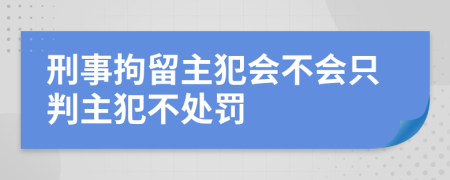 刑事拘留主犯会不会只判主犯不处罚