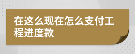 在这么现在怎么支付工程进度款