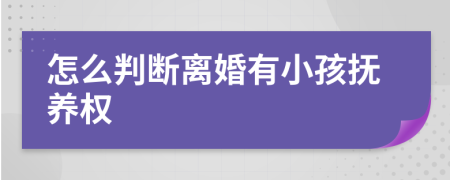 怎么判断离婚有小孩抚养权