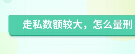 走私数额较大，怎么量刑