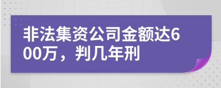 非法集资公司金额达600万，判几年刑