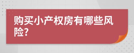 购买小产权房有哪些风险?