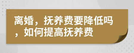 离婚，抚养费要降低吗，如何提高抚养费