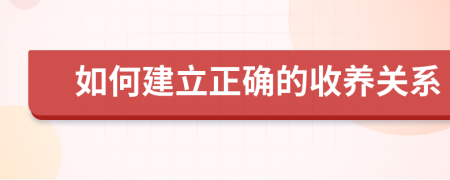 如何建立正确的收养关系