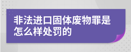 非法进口固体废物罪是怎么样处罚的