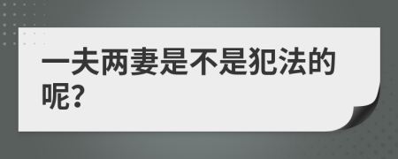 一夫两妻是不是犯法的呢？