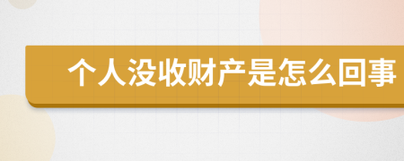 个人没收财产是怎么回事