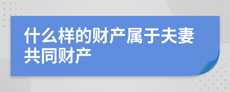 什么样的财产属于夫妻共同财产