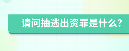 请问抽逃出资罪是什么？