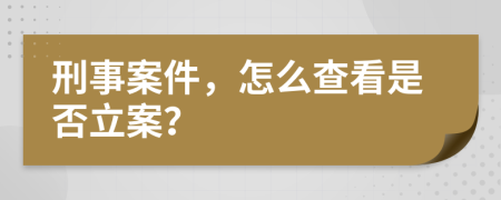 刑事案件，怎么查看是否立案？