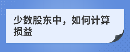 少数股东中，如何计算损益