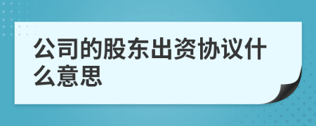 公司的股东出资协议什么意思