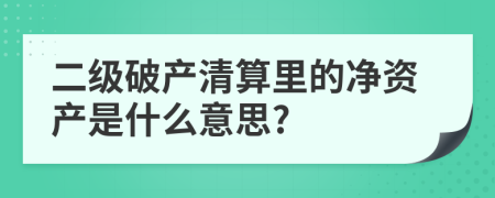 二级破产清算里的净资产是什么意思?