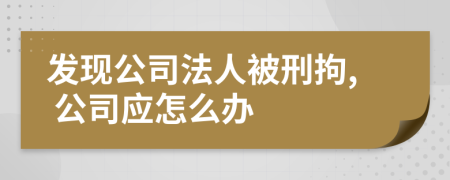 发现公司法人被刑拘, 公司应怎么办
