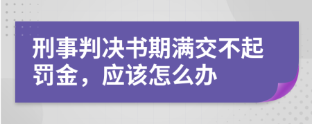 刑事判决书期满交不起罚金，应该怎么办