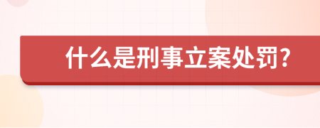 什么是刑事立案处罚?