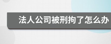 法人公司被刑拘了怎么办