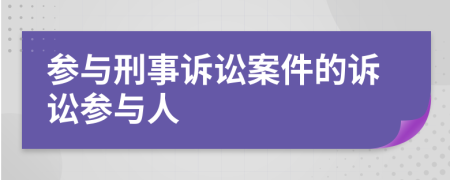 参与刑事诉讼案件的诉讼参与人