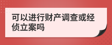 可以进行财产调查或经侦立案吗