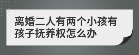 离婚二人有两个小孩有孩子抚养权怎么办