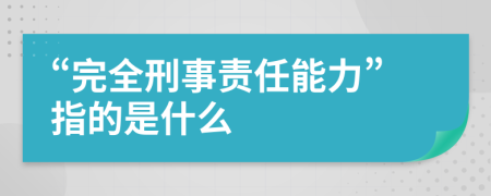 “完全刑事责任能力”指的是什么
