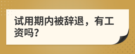 试用期内被辞退，有工资吗？