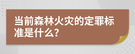 当前森林火灾的定罪标准是什么？