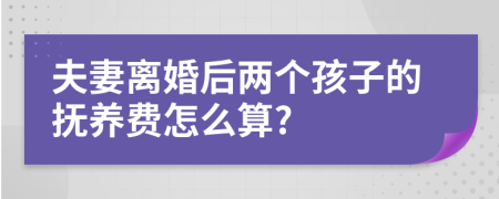 夫妻离婚后两个孩子的抚养费怎么算?