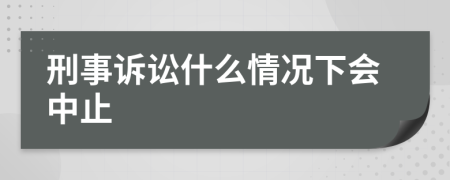 刑事诉讼什么情况下会中止