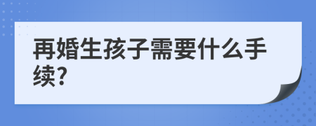 再婚生孩子需要什么手续?