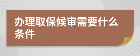 办理取保候审需要什么条件