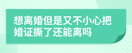 想离婚但是又不小心把婚证撕了还能离吗