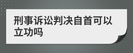 刑事诉讼判决自首可以立功吗