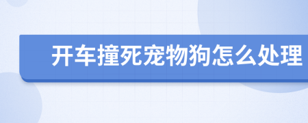 开车撞死宠物狗怎么处理