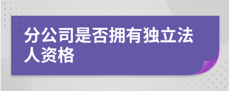 分公司是否拥有独立法人资格