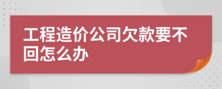 工程造价公司欠款要不回怎么办