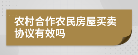 农村合作农民房屋买卖协议有效吗