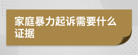 家庭暴力起诉需要什么证据