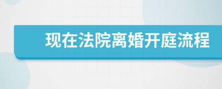 现在法院离婚开庭流程