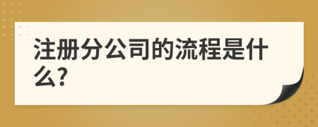 注册分公司的流程是什么?