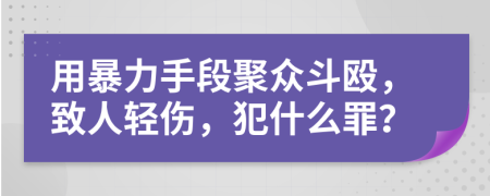 用暴力手段聚众斗殴，致人轻伤，犯什么罪？