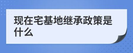 现在宅基地继承政策是什么