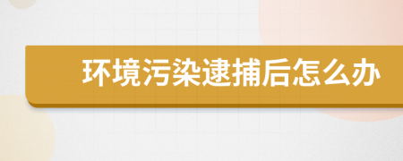 环境污染逮捕后怎么办