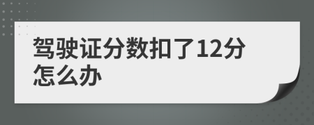 驾驶证分数扣了12分怎么办