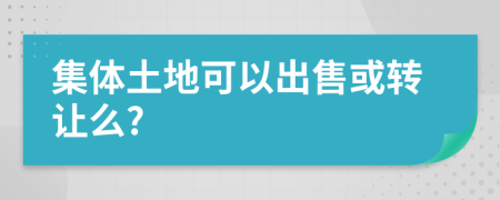 集体土地可以出售或转让么?