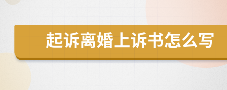 起诉离婚上诉书怎么写