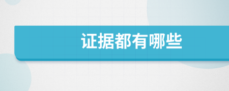 证据都有哪些